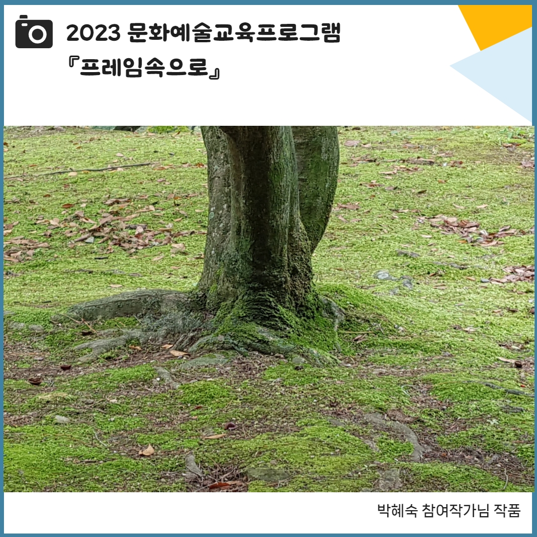 9d1391fe8cf8fcf10af5f23071461907_1698306580_0035.jpg