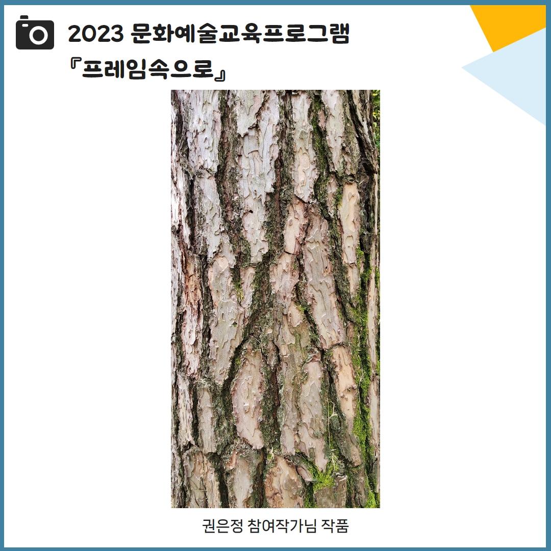 9d1391fe8cf8fcf10af5f23071461907_1698306581_056.jpg