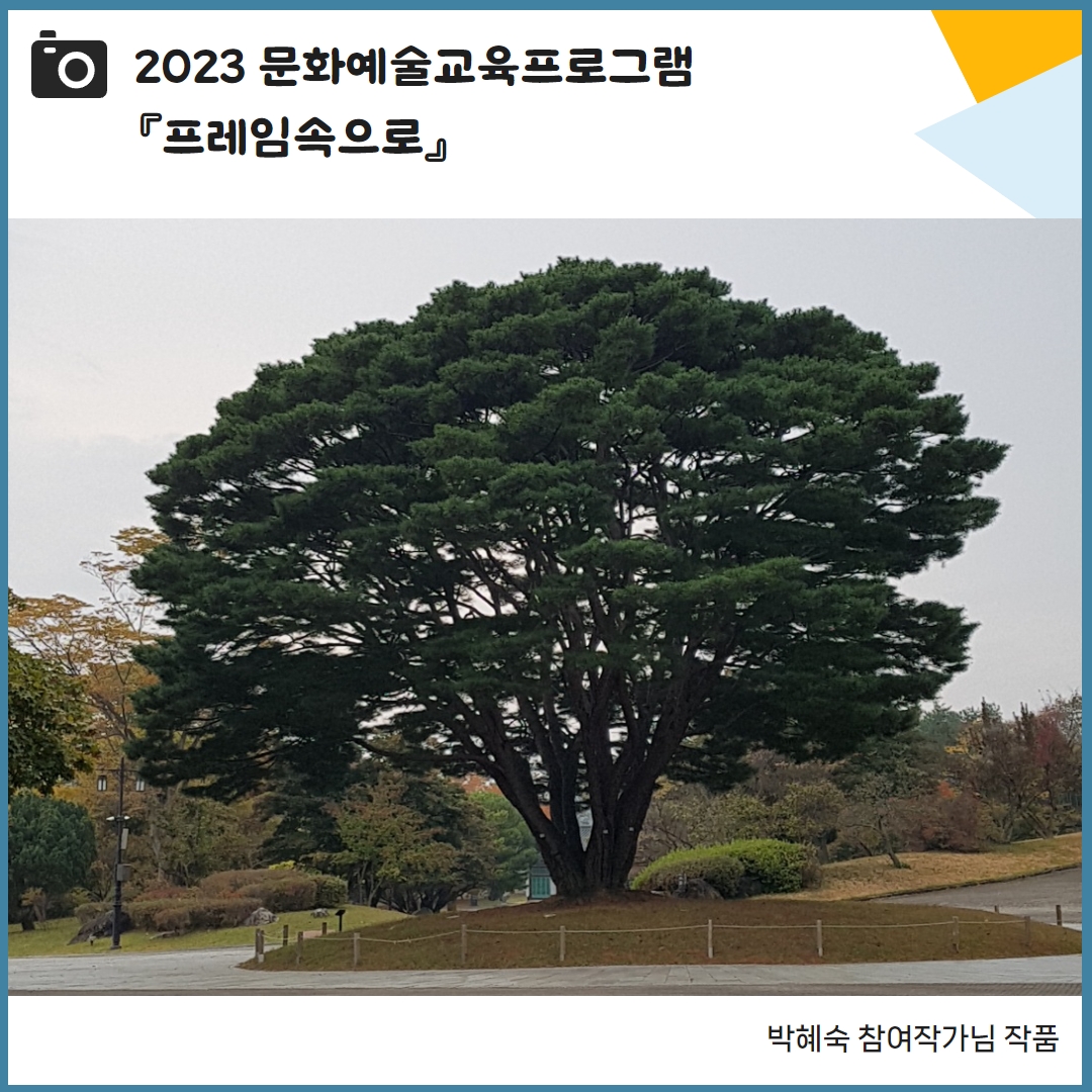 9d1391fe8cf8fcf10af5f23071461907_1698306581_5482.jpg