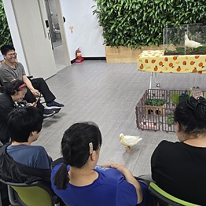 낮활동지원팀 6월 동물매개활동