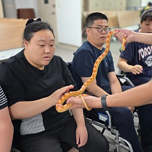 낮활동지원팀 9월 동물매개활동