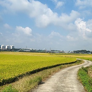 데이드림-9월의 산책